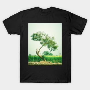 Tree of Life T-Shirt